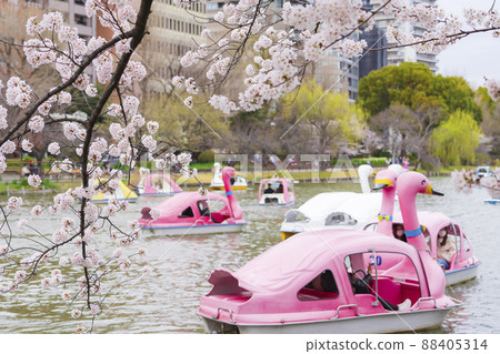 [Spring image of Tokyo] Shinobazunoike Pond and cherry blossoms in full bloom 88405314