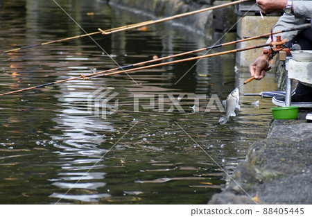 Herahuna fishing 88405445