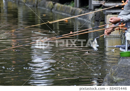 Herahuna fishing 88405446