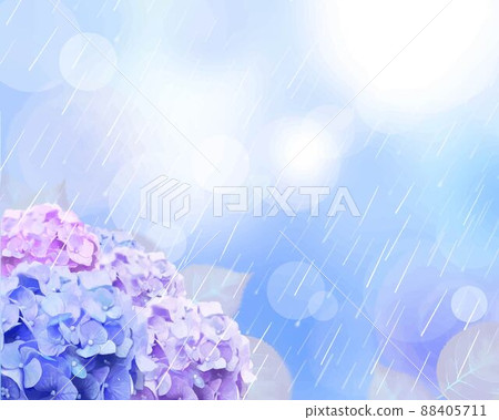 美麗的紫丁香繡球花在雨季開花，樹葉悄悄下雨。 88405711