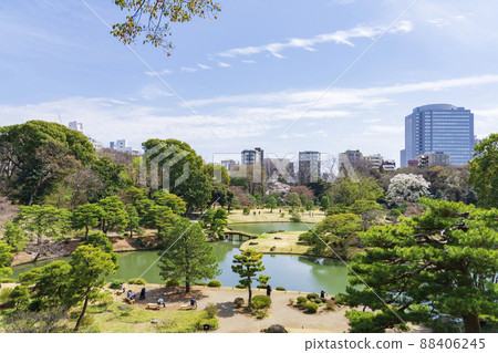[東京]早春的六義園 88406245