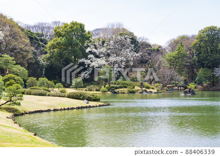 [Tokyo] Rikugien Garden in early spring 88406339