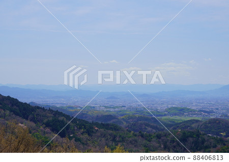 Takamadoyama Driveway on the day of the declaration of full bloom of cherry blossoms 88406813
