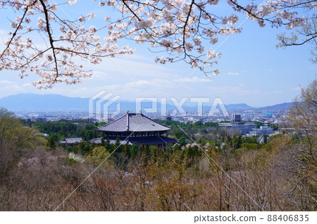 櫻花盛開宣言日東大寺和興福寺五層塔 88406835