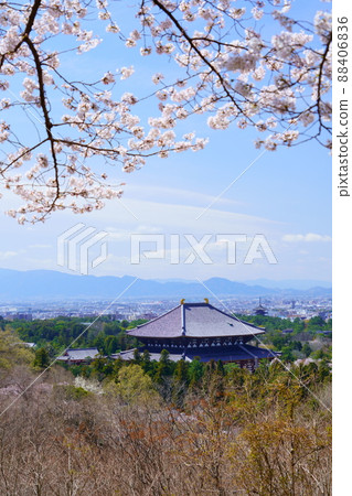 櫻花盛開宣言日東大寺和興福寺五層塔 櫻花盛開宣言日東大寺和興福寺五層塔 88406836