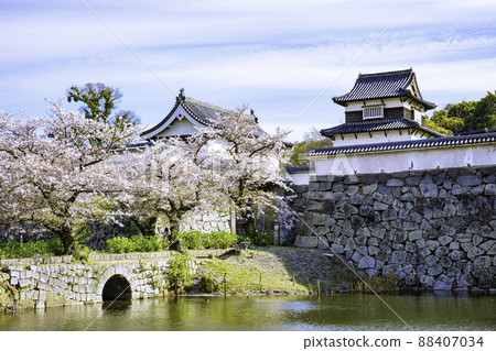 櫻花盛開的舞鶴公園，福岡城跡（福岡市中央區） 88407034