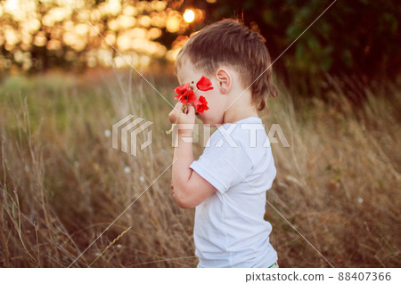 little boy with a flower in the hands little boy with a flower in the hands 88407366