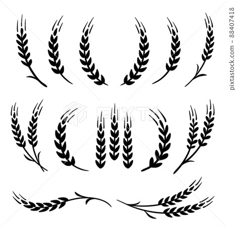 wheat and barley, rye stalks set icons 88407418