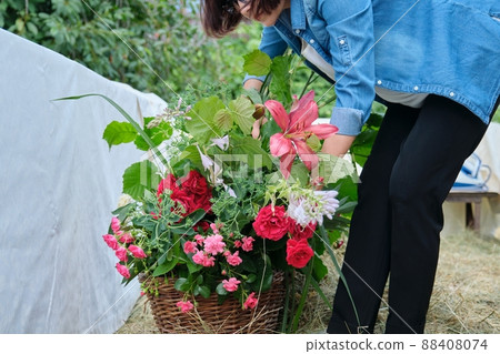 Woman florist making flower arrangement in basket outdoor. Woman florist making flower arrangement in basket outdoor. 88408074