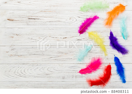 background of brightly colored dyed bird feathers on Colored background, top view. Copy space background of brightly colored dyed bird feathers on Colored background, top view. Copy space 88408311