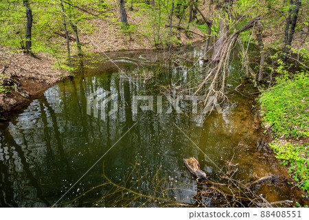 Bor Lake artificial lake in eastern Serbia near the city of Bor Bor Lake artificial lake in eastern Serbia near the city of Bor 88408551