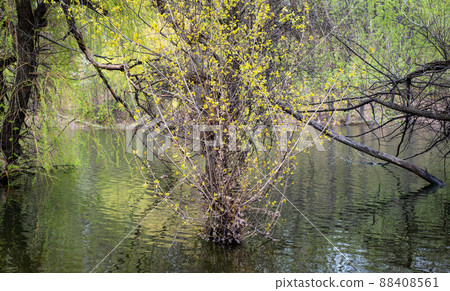 Bor Lake artificial lake in eastern Serbia near the city of Bor 88408561