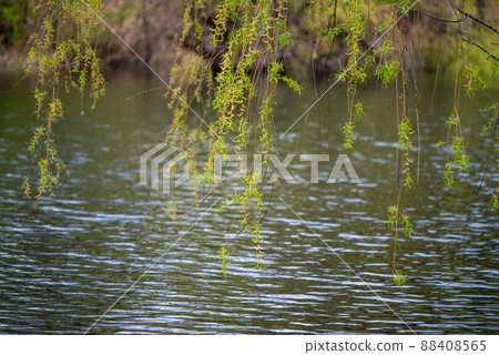 Bor Lake artificial lake in eastern Serbia near the city of Bor 88408565