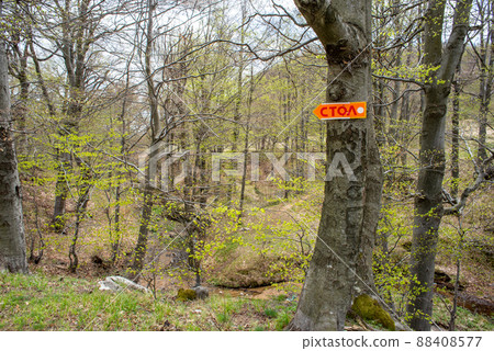 Stol mountain hike trail in eastern Serbia near the city of Bor 88408577