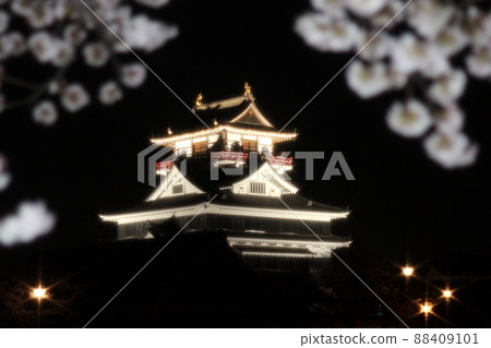 夜城清州 88409101