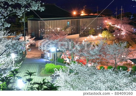 [Hiroshima Prefecture] Night cherry blossoms in Senkoji Park (Onomichi) 88409160