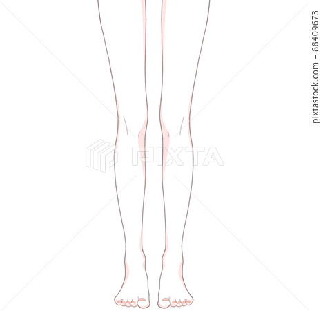 Straight and beautiful legs 88409673