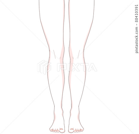 Muscled legs 88410391