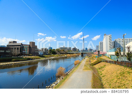 [Koto-ku, Tokyo] Tokyo Sky Tree and the blue sky of the riverbed 88410795