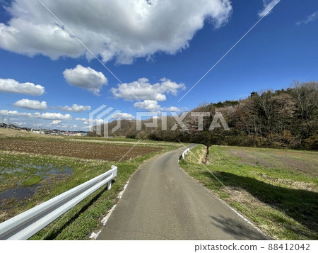 櫻花季關東鄉間小路 櫻花季關東鄉間小路 88412042
