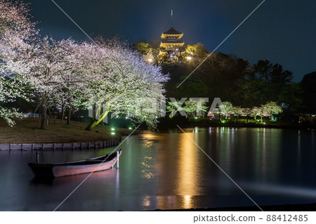 Yokohama City Sankeien Sakura Full Bloom Illumination 88412485