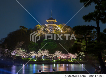 Yokohama City Sankeien Sakura Full Bloom Illumination Yokohama City Sankeien Sakura Full Bloom Illumination 88412489