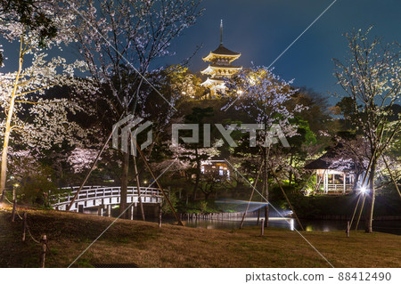 Yokohama City Sankeien Sakura Full Bloom Illumination 88412490