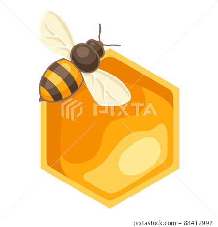 Illustration of honey with bee. Image for food and agricultural industry. 88412992