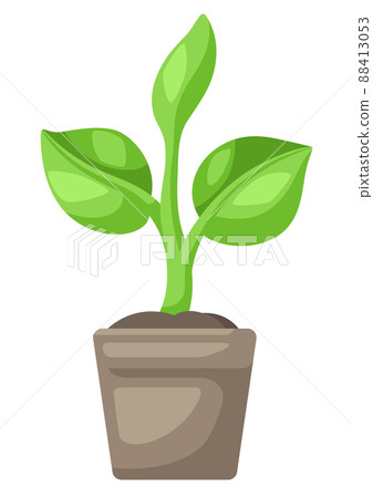 Sprouted seedling in pot. Agricultural planting illustration. 88413053