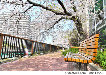 月島川綠色長廊（東京都中央區）[2022.4] 88413550