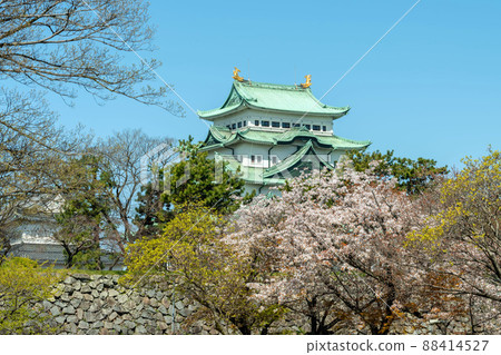 Spring Nagoya Castle, 2022 88414527