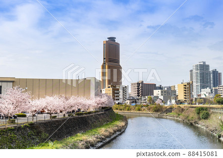 Spring in full bloom of cherry blossoms, Act Tower and Magome River in the center of Hamamatsu City, Shizuoka Prefecture 88415081