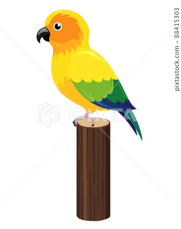 Illustration of Sun Conure on a log 88415303