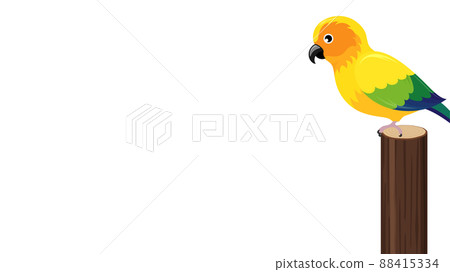 Illustration of Sun Conure on a log_frame_16: 9 88415334
