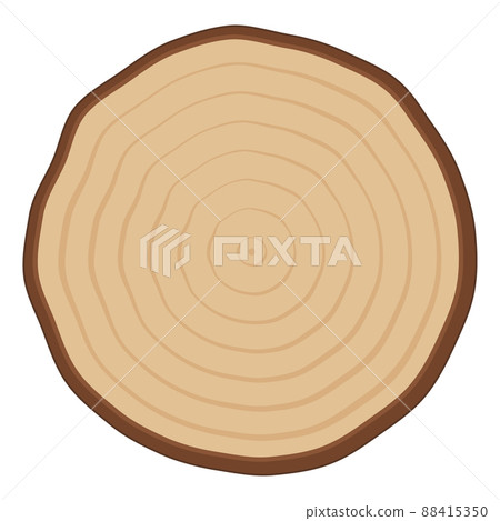 Illustration of cross section of log_circle Illustration of cross section of log_circle 88415350