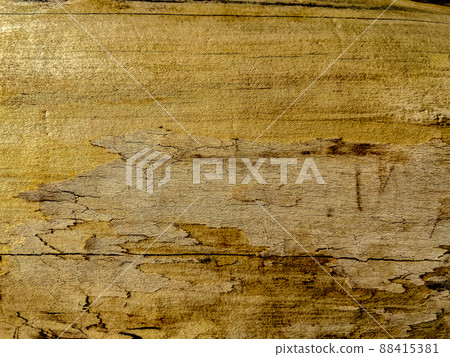 Bark bark texture yellow bark Bark bark texture yellow bark 88415381