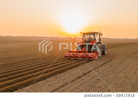 Tractor drives across large field making special beds for sowing seeds into purified soil. Agricultural vehicle works at sunset in countryside 88415918