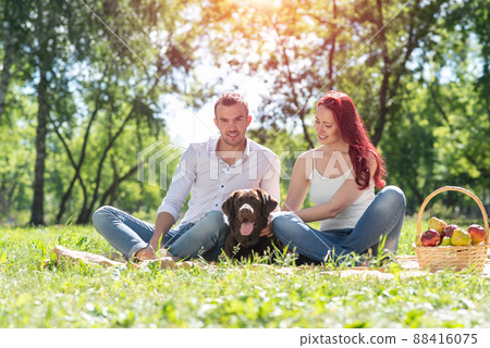 Couple with a dog in the park Couple with a dog in the park 88416075