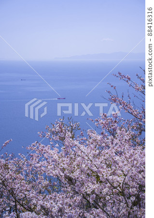 Hyogo Prefecture Sumaura Revolving Observation Tower Sakura Hyogo Prefecture Sumaura Revolving Observation Tower Sakura 88416316