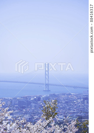 Hyogo Prefecture Sumaura Revolving Observation Tower Sakura Akashi Kaikyo Bridge Hyogo Prefecture Sumaura Revolving Observation Tower Sakura Akashi Kaikyo Bridge 88416317