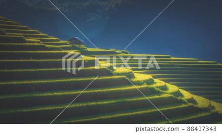 Rice fields on terraced with wooden pavilion on blue sky background in Mu Cang Chai, YenBai, Vietnam. 88417343