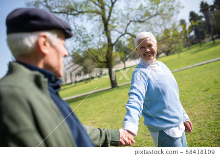 Portrait of elderly couple dating in park 88418109