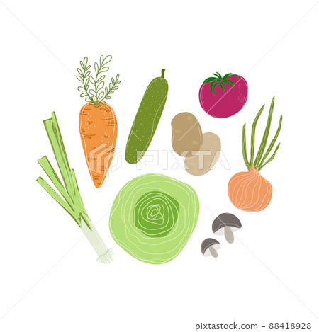 Natural food, organic fruits and vegetable set. Department store goods. Carrot, cucumber, cabbage, potato, tomato, onion, mushrooms and leek. Simple Flat illustration. Natural food, organic fruits and vegetable set. Department store goods. Carrot, cucumber, cabbage, potato, tomato, onion, mushrooms and leek. Simple Flat illustration. 88418928