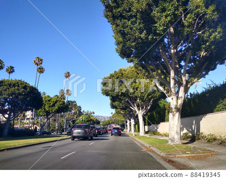 Scenery from the road (near Beverly Hills) Scenery from the road (near Beverly Hills) 88419345