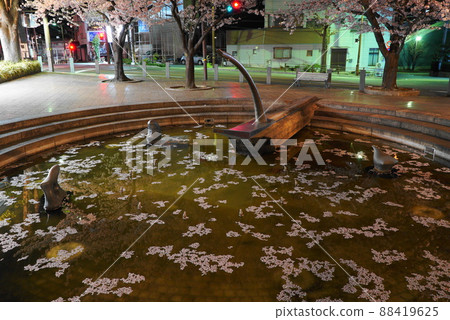長良川畔的夜櫻 長良川畔的夜櫻 88419625