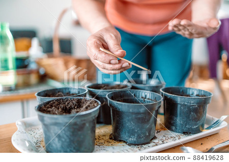 Farmer's hands plant seeds in black plastic pot with ground. Closeup. Preparation for garden season. Farmer's hands plant seeds in black plastic pot with ground. Closeup. Preparation for garden season. 88419628