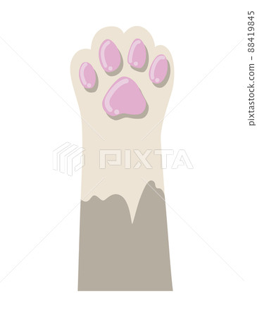 Cat paw. Cute cartoon domestic animal foot isolated on white background. Furry kitten paw. Footprint icon Cat paw. Cute cartoon domestic animal foot isolated on white background. Furry kitten paw. Footprint icon 88419845