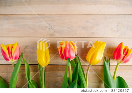 Yellow tulips on a light wooden background. Spring and holiday concept. Yellow tulips on a light wooden background. Spring and holiday concept. 88420867