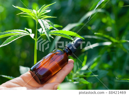 Woman hand holding essential oil bottle. CBD OIL Woman hand holding essential oil bottle. CBD OIL 88421469