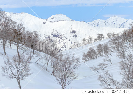 [Okutadami Maruyama Ski Resort]（魚沼市）春季滑雪季節 88421494